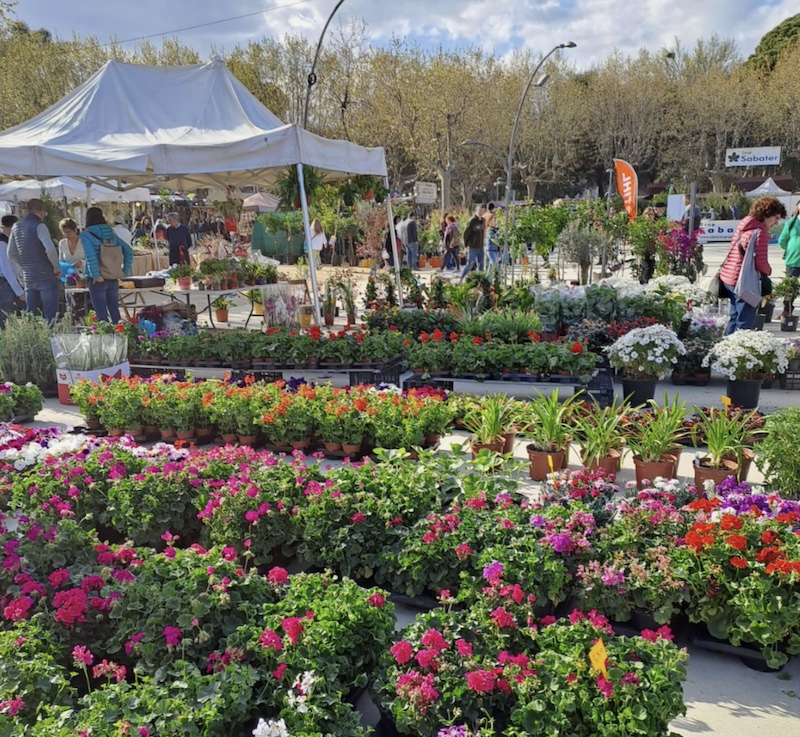 FERIA DEL ÁRBOL Y EL MEDIO AMBIENTE DE MATARÓ