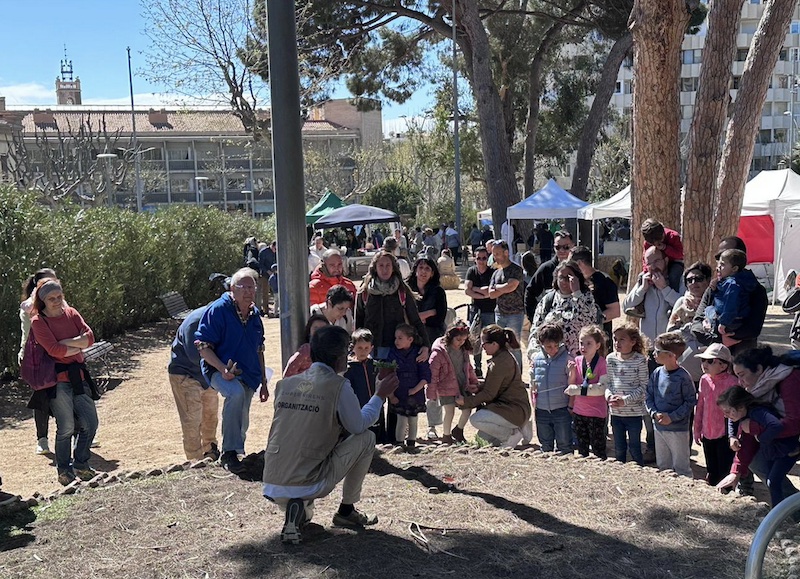 Fira de l'arbre i del medi ambient a Mataró