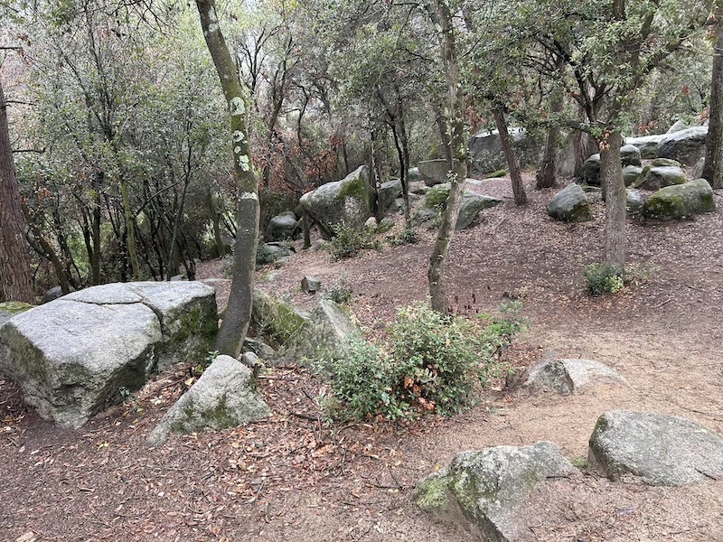 BOSQUE ENCANTADO DE ÒRRIUS