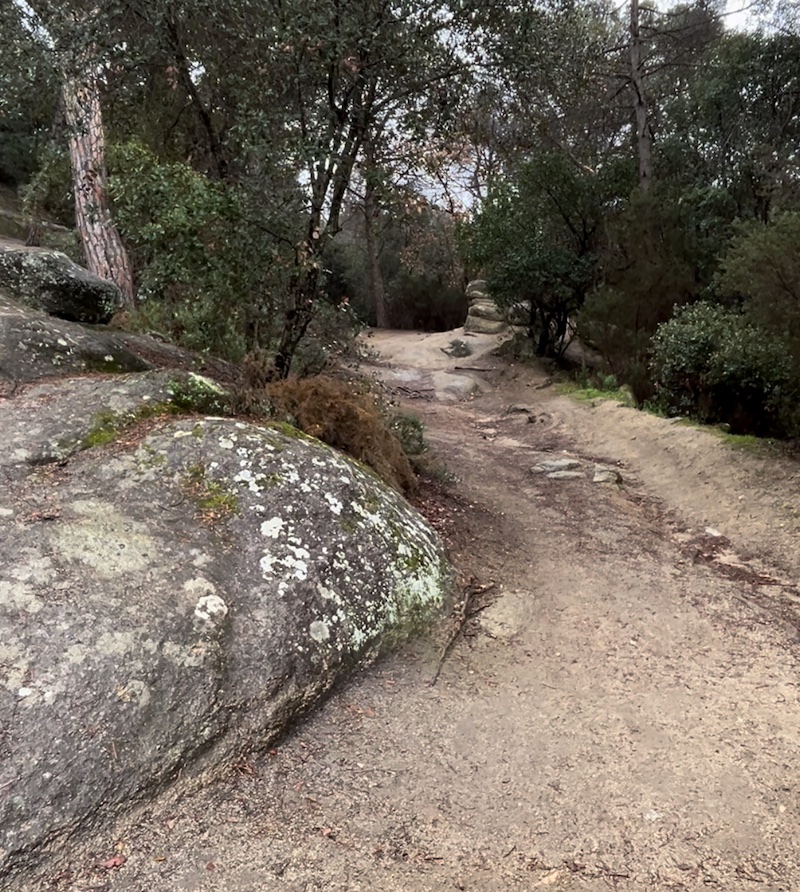 BOSQUE ENCANTADO DE ÒRRIUS