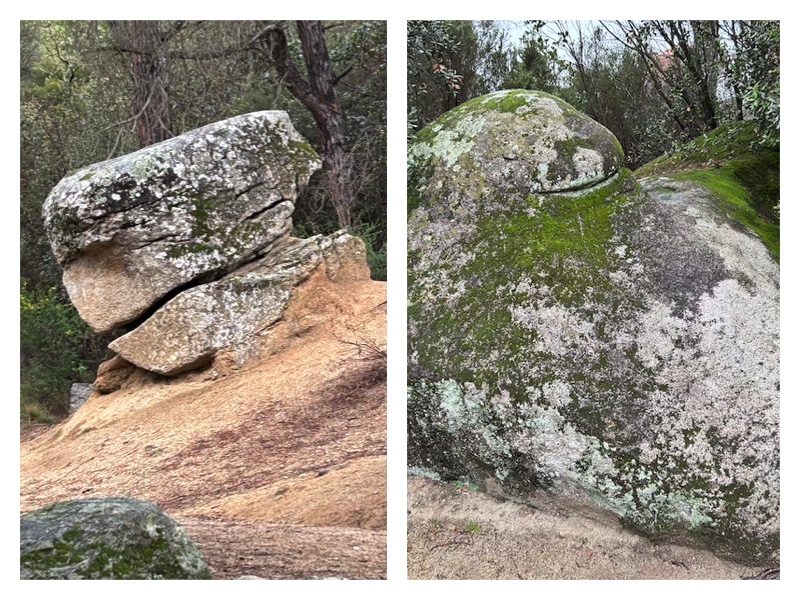 BOSC ENCANTAT D'ÒRRIUS