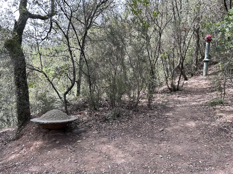 Bosc de les escultures Joan Carolà