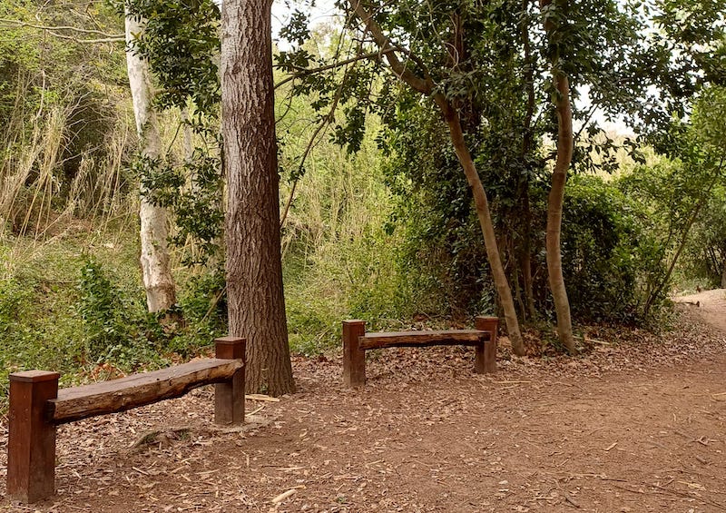 Camí del Rec en la Selva del Camp