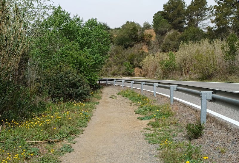 Camí del Rec en la Selva del Camp