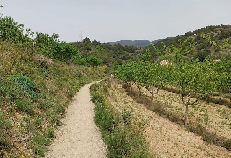 Camí del Rec a la Selva del Camp