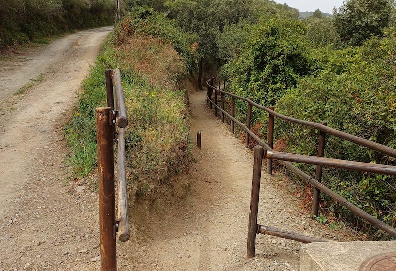 Camí del Rec a la Selva del Camp