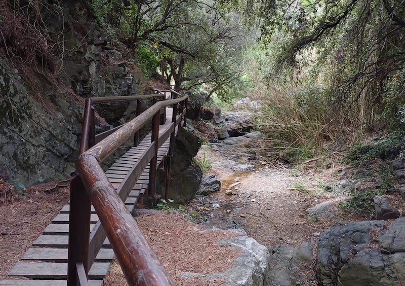 Camí del Rec a la Selva del Camp