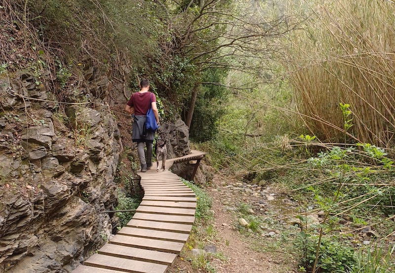 Camí del Rec a la Selva del Camp