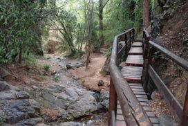 Camí del Rec en la Selva del Camp