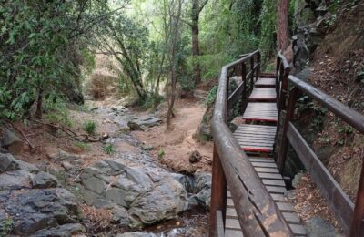 Camí del Rec en la Selva del Camp