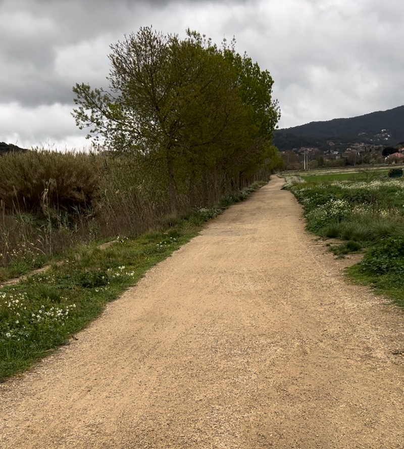 PARC FLUVIAL A VILANOVA DEL VALLÈS