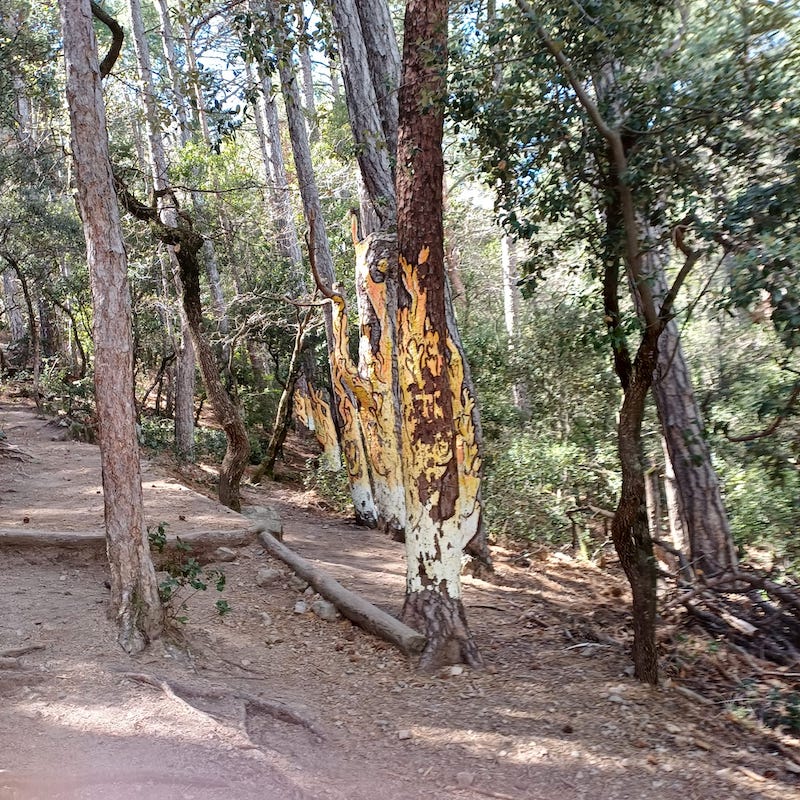 excursión al bosque pintado de poblet