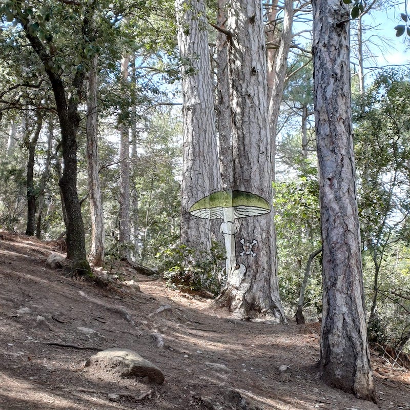 excursión al bosque pintado de poblet