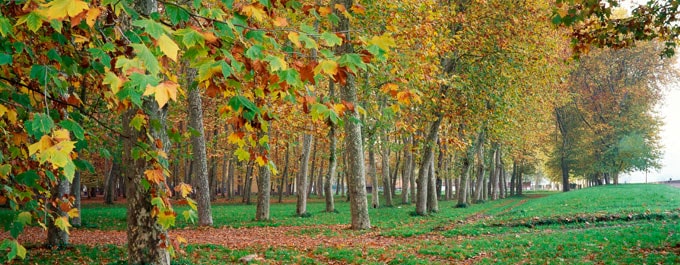 excursiones Girona