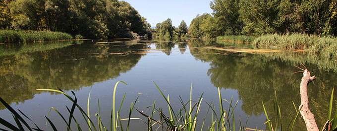 excursiones Girona