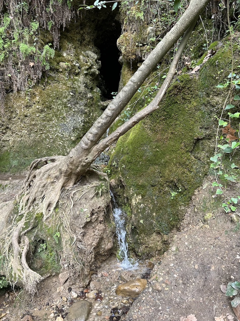 Torrent de Colobrers