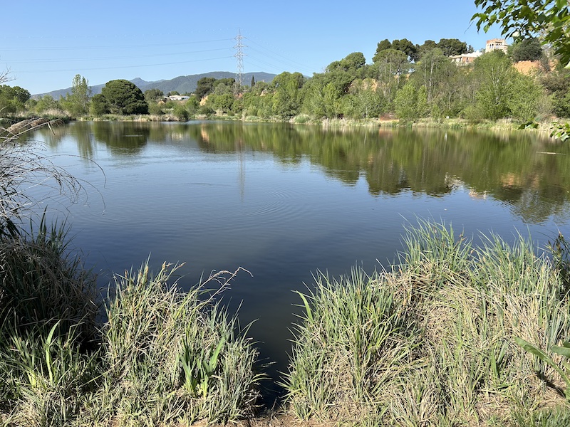 PARQUE DEL FALGAR Y LA VERNEDA