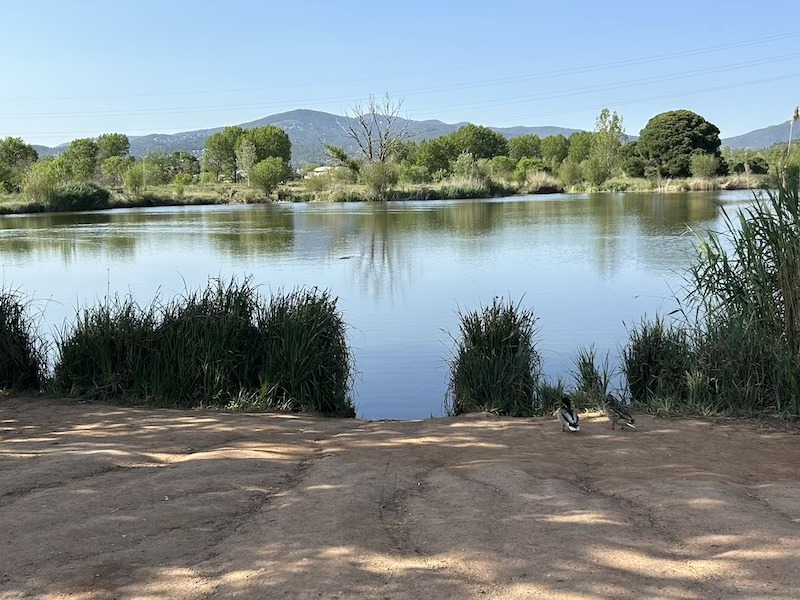 PARC DEL FALGAR I LA VERNEDA 