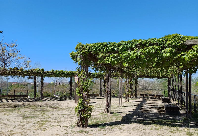 parque francoli en tarragona