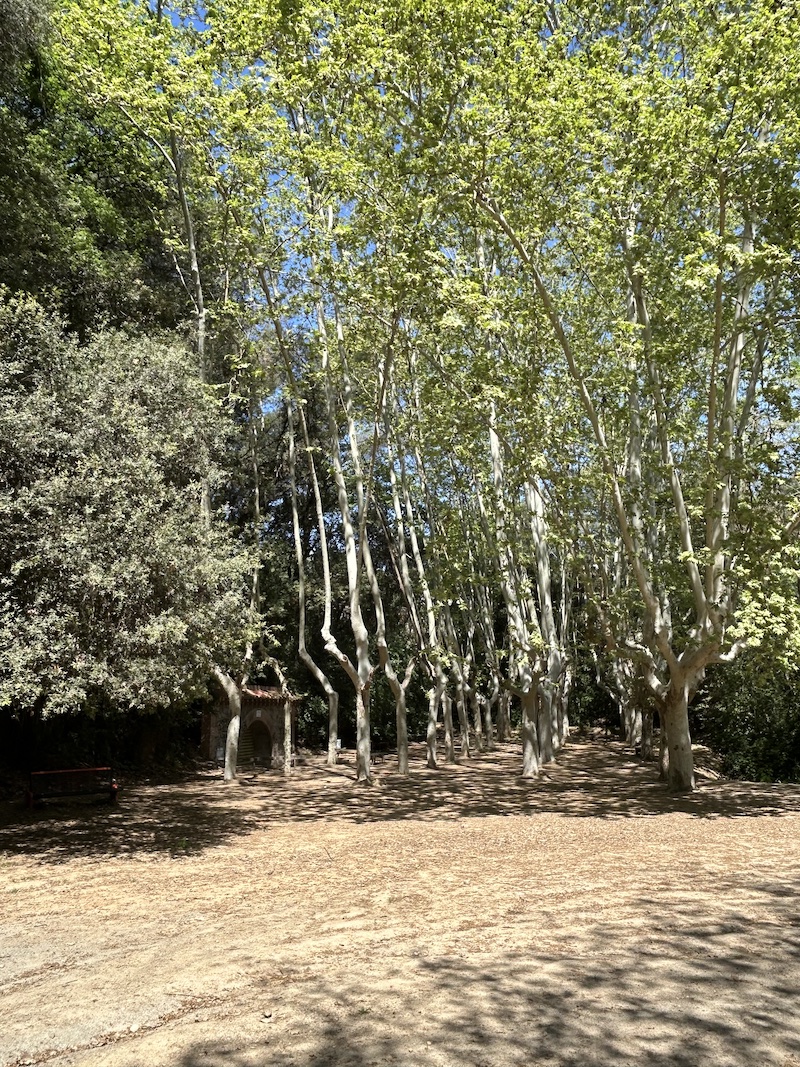 FONT DE LA BONAIGUA