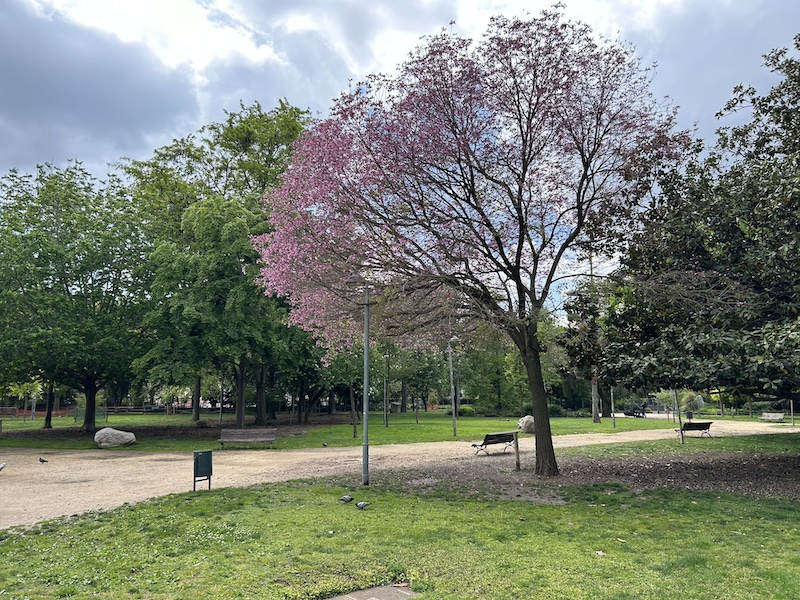 PARC TORRAS VILLÀ 