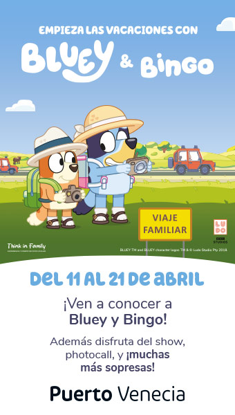 Bluey y Bingo