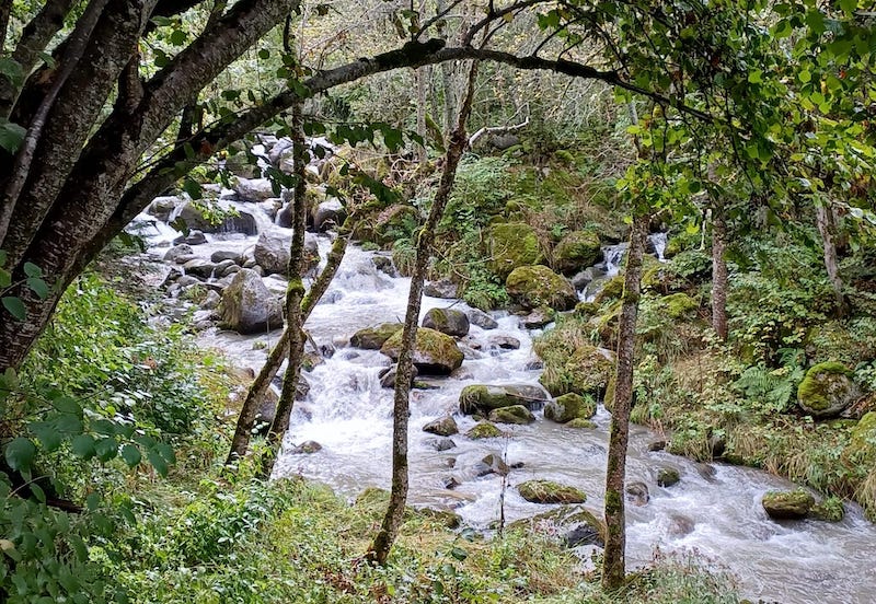 ruta bruixa tredos
