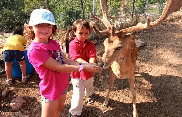 10 experiencias para regalar