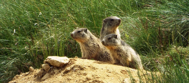 10 experiencias para regalar