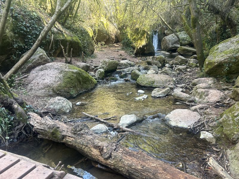 Itinerari de natura de la riera de Martinet