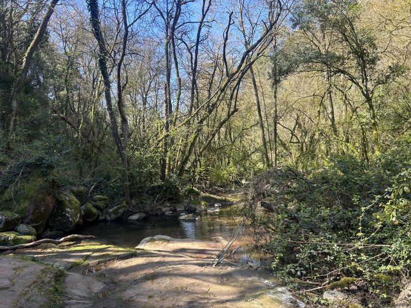 Itinerari de natura de la riera de Martinet
