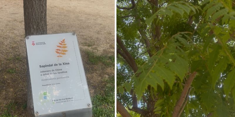 Parque Sot d'en Barriques